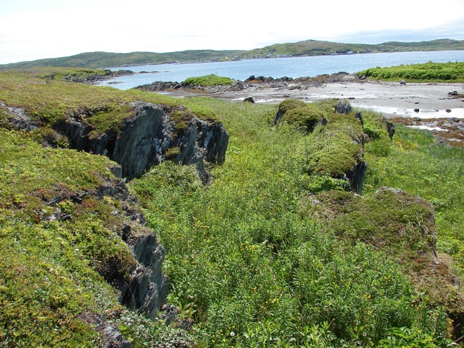 A pathway takes advantage of a natural cleft in the coastal geology at Grandmother Island, Quirpon (EjAu-19).